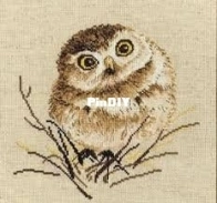 Oven / OBEH / Aries (Овен) 751 Owl  XSD