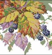 Riolis 354 Black Berries