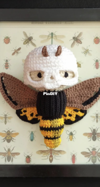 Lalylala Moth Skull Boy