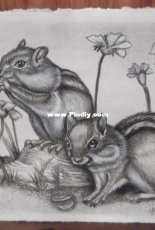 Chipmunk study
