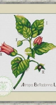 Irish Rose - Elena Petrova - Atropa Belladonna