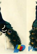 Suzanne Houghton - Crochet Peacock Pattern