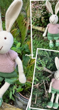 Little bunnie