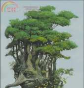 HAED HAELM125 The Beech Tree by Larry McDougall