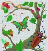 Club Point de Croix - Insects