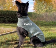 Whisky dog sweater by Louise Robert free