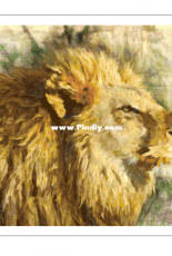 Better Cross Stitch - Lion - Free
