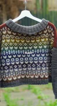 The Catvent Sweater by Marna Gilligan - An Caitin Beag