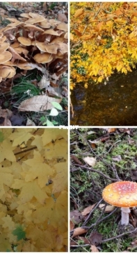 My hiking photos 2