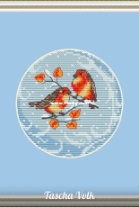 Robins by Tascha Volk