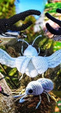 Crafty Intentions - Megan Lapp - Five Beetles