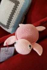 Sweet turtle