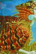HAED:  QS Fantasea