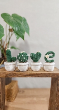 Rachel Crochê - Rachel Muylaert - Cactus Love