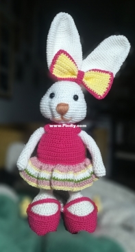 bunny