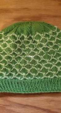 Adult Trellis Hat #2 by Barb Weatherford-Free