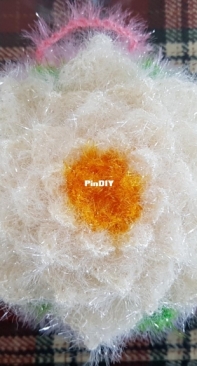 sponge