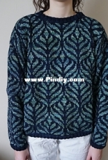 Enez Morgol by Anne Regourd - English, French