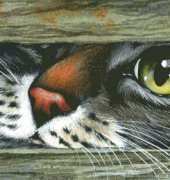 HAED HAEIAG 101 Curious Nose - Irina Garmashova