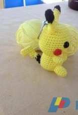 Pokemon order