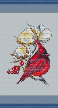 NiKs- Cardinal On Cotton  by Lena Shalaginova