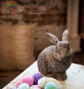 Universal Yarns Cotton Supreme Easter Eggs