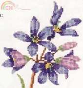 Finger Flower from book The Magic of the Forest
