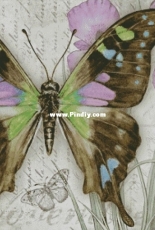 Chimera - Butterfly Vintage 11 by Jane Shasky