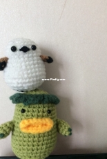 a new friend for my white bird