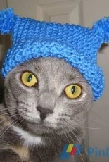 Lucys Favorite Hat by Frugal Knitting Haus-Free