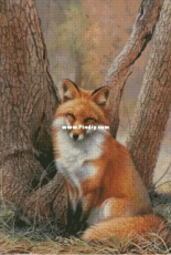 H305 Fox Near A Tree by Chimera