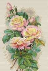Merejka K-67 Vintage Roses