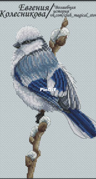 Evgenia Kolesnikova - White Blue Tit