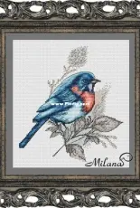 Blue Bird by Milana