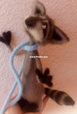 raccoon