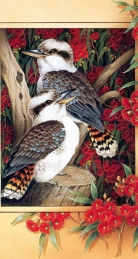 Kookaburra by Interesting Boutique
