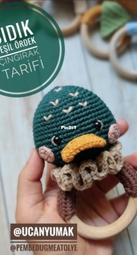 Uçan Yumak - Ayşe - Bıdık Green Duck Rattle - Bıdık Yeşil Ördek Çıngırak - Turkish - Free