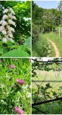 My hiking photos