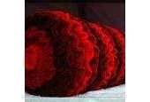 Sheila L Willis - Ruffled Bolster - free