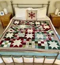 Anita Gibney - Winter Lights Blanket - Free