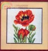 RTO C177 Garden Poppy