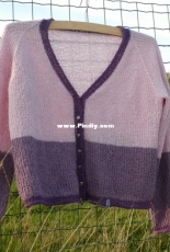 feel good vikings cardigan by diane wagner-English,German-Free