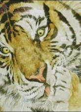 I Love CrossStitch OT-043  Tiger 4