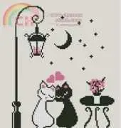 Black and White Cat