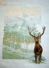 anchor - Natures Stag