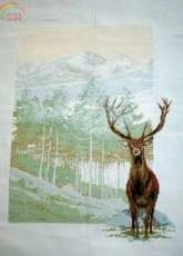 anchor - Natures Stag