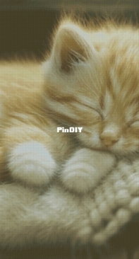 Furry miracle by Irina Yalymova XSD