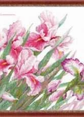 Riolis Premium 100/024 - Irises - XSD