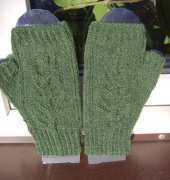Verdure mitts Mitts by Alana Dakos.