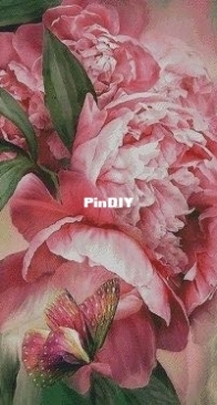 Ivolga - Peony by Evgenia Nikotina